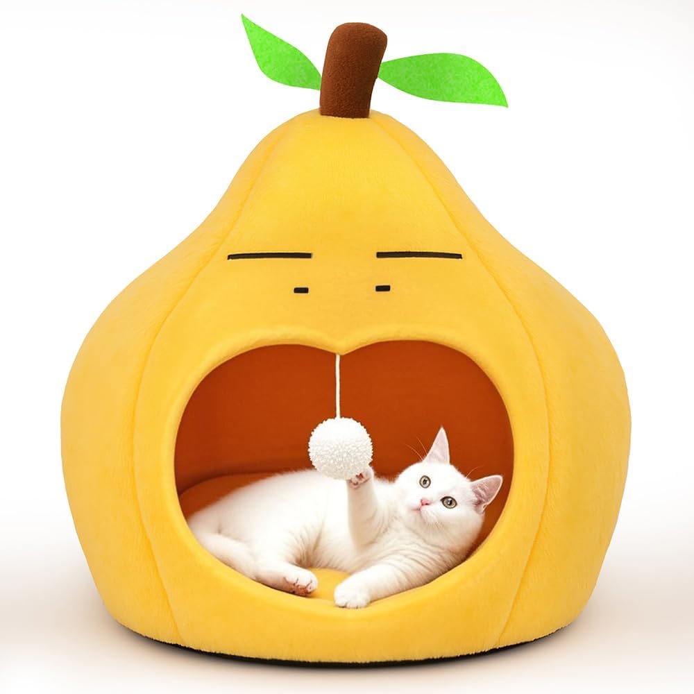 실내 고양이를 위한 귀여운 고양이 침대, 소형견 침대, 새끼 고양이와 강아지를 위한 부드럽고 세탁 가능한 반려동물 침대, 재미있는 배 고양이 동굴, 48.3cm(19인치)