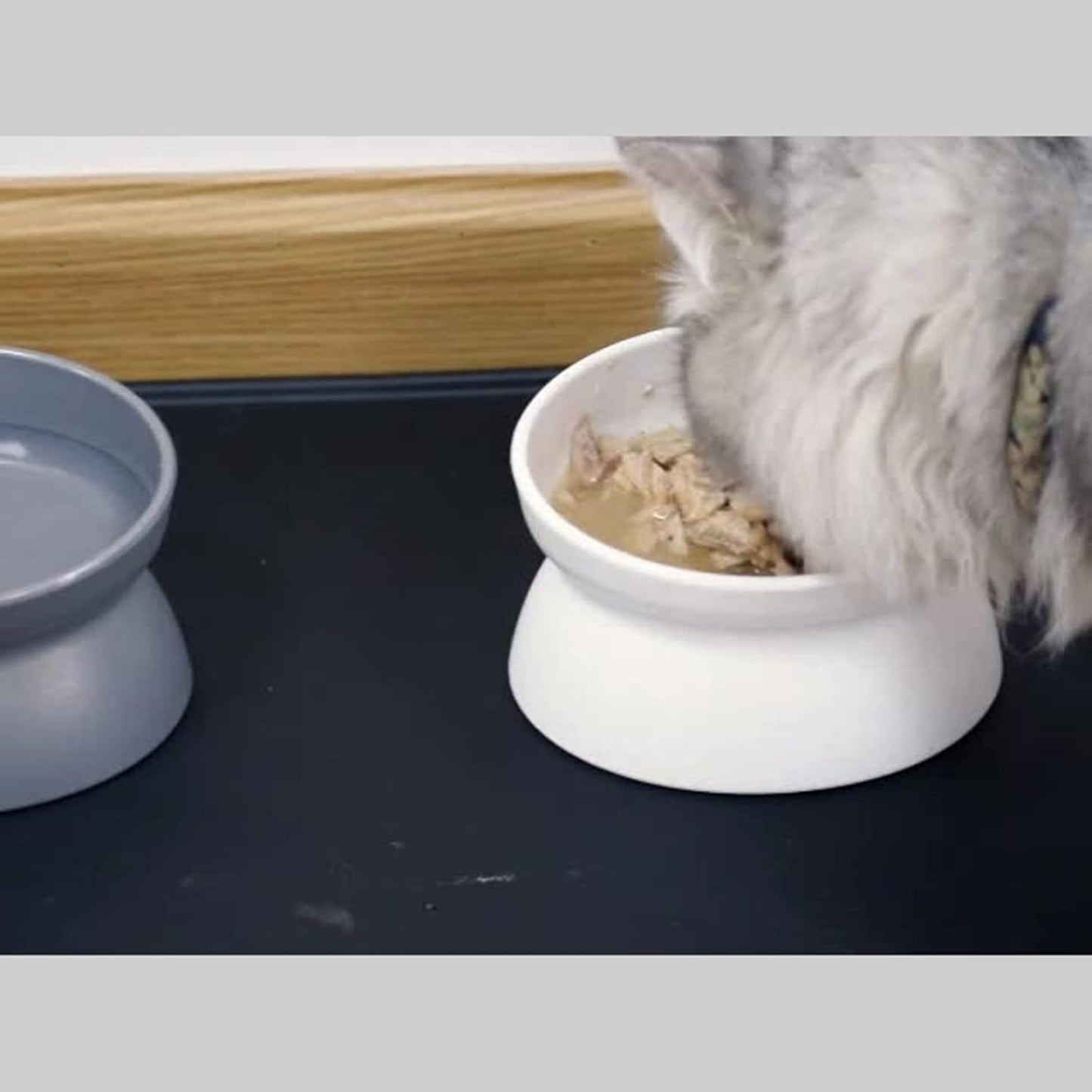 Cats Food Bowls Elevated Cats Bowls for Food and Water with Base Stand Bowl 10° Raised Single Bowl Elevated Dog Bowls