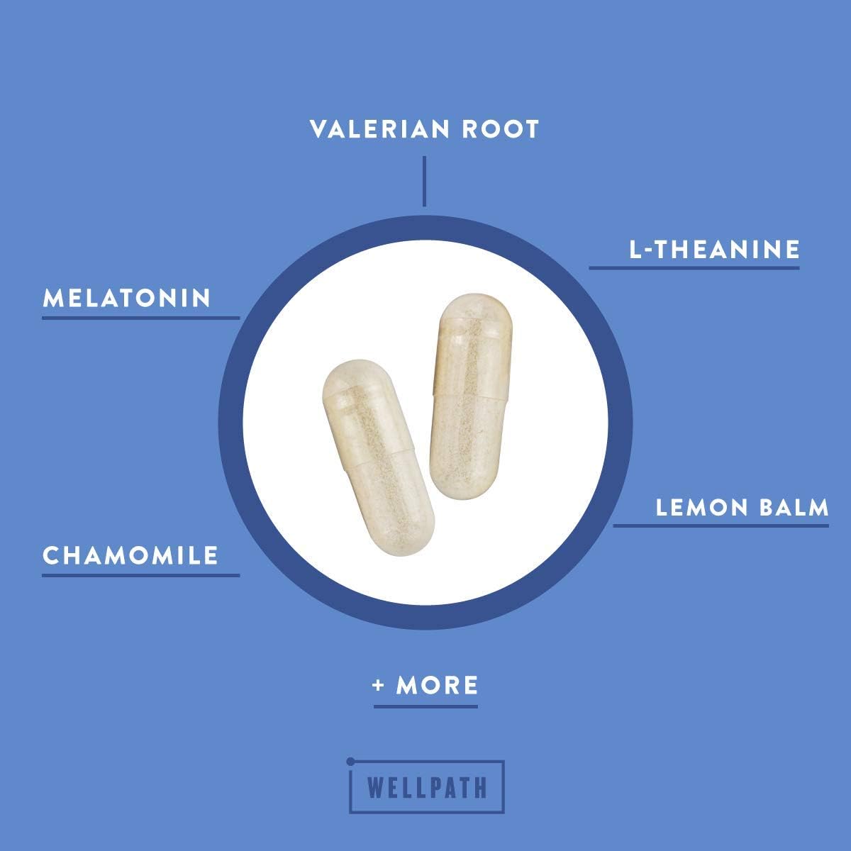 WellPath Rest Valerian Root Sleep Aid for Adults with Melatonin & L-Theanine | Natural & Herbal Sleeping Pills with Extra Strength | | 5-HTP, Lemon Balm, Chamomile, 60 Ct