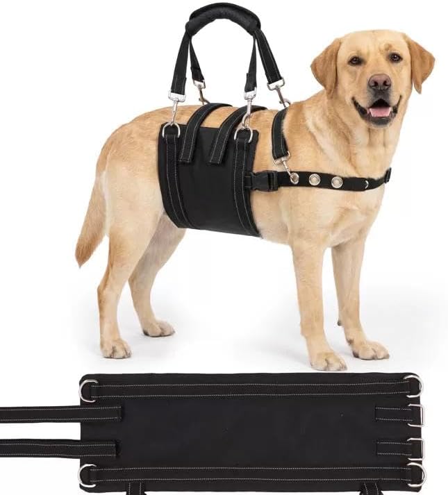 CWV Female Dog Sling for Back Legs, Dog Lift Harness, Magic Tape Dog Sling for Large Dogs Hind Leg Support, Medium, Female