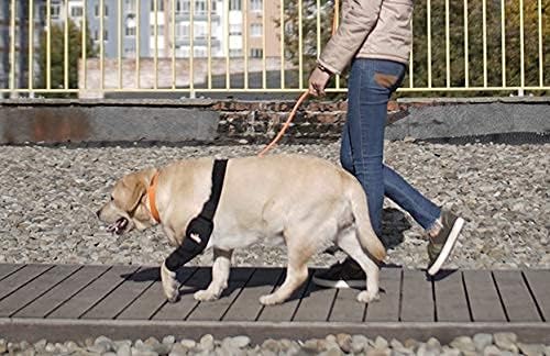 NeoAlly Dog Elbow Brace Protector Pads for Canine Elbow and Shoulder Support Elbow Hygroma, Dysplasia, Osteoarthritis, Elbow Calluses, Pressure Sores and Shoulder Dislocation (Right Leg, Large)