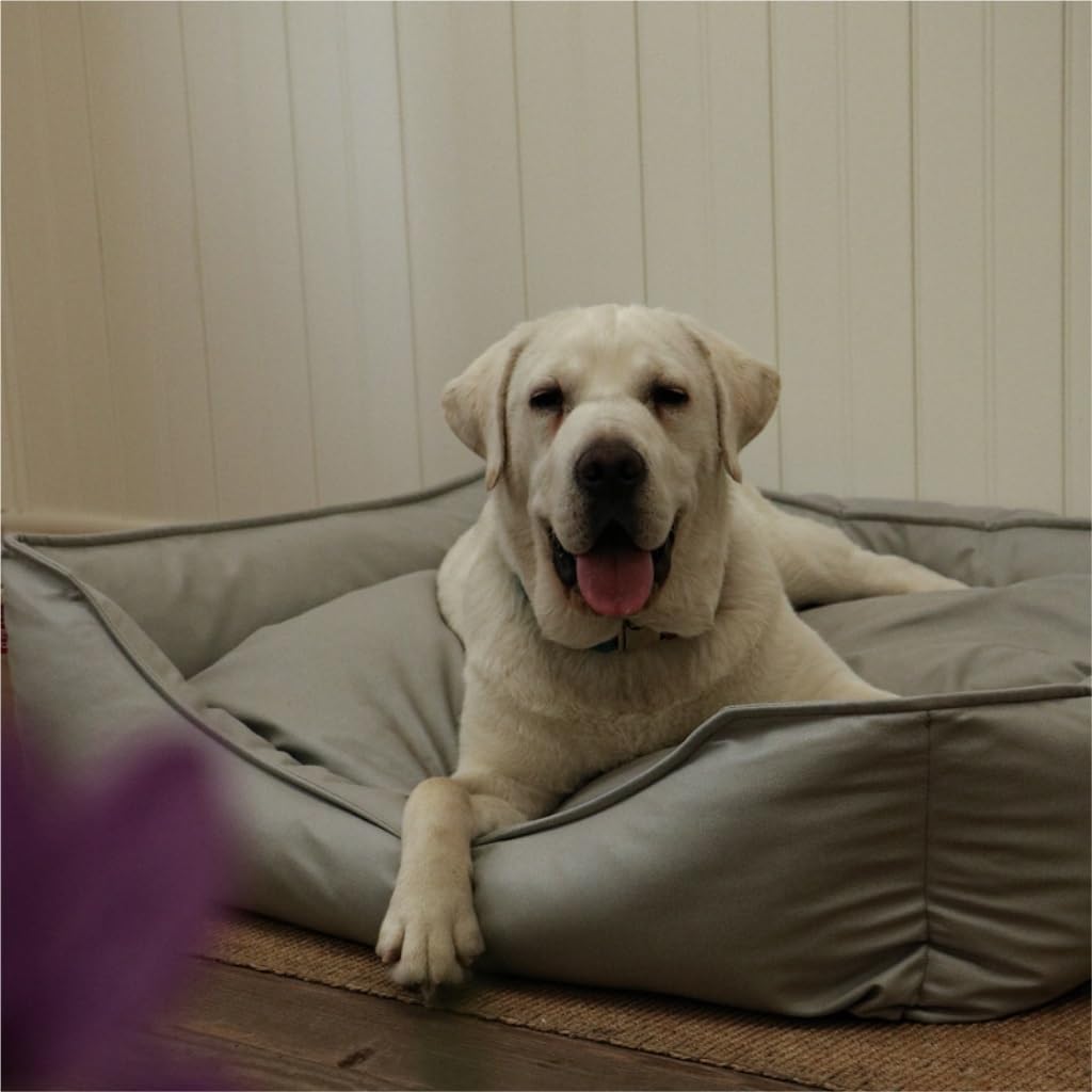 Dog Bed Creative Waterproof Kennel Pet Bed Sofa Cat Kennel Supplies Kennel Sponge Removable and Washable Comfortable Dog Bed Pet Bed (Color : Gray, Size : M:72 * 50 * 20cm) (Coffee XL:104*90*20cm)