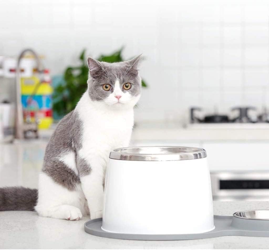 Cat Dog Water Fountain Stainless Steel Pet Water Fountain for Cats Dogs Automatic Cats Dog Water Dispenser Other Pets
