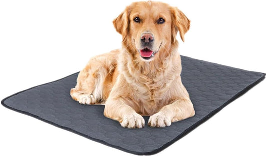 Washable Pee Pads for Dogs, Reusable Super Absorbent Potty Pads, Non-Slip and Leak-Proof Puppy Pads for Whelping, Portable Washable for Puppy