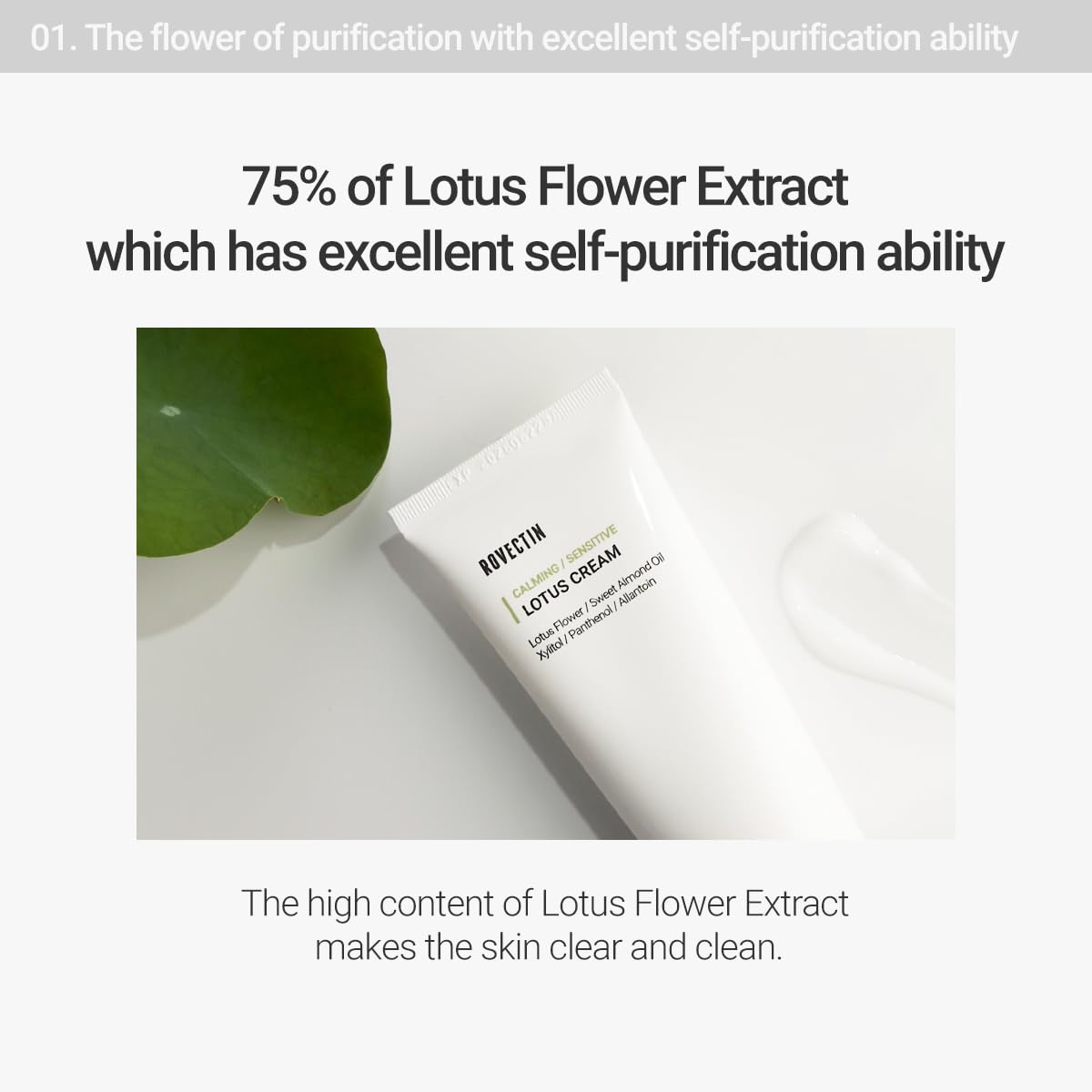ROVECTIN Calming Lotus Cream – Lightweight Hydrating & Soothing Moisturizer Face Cream for Sensitive Skin | 75% Lotus Water Extract & Niacinamide for Anti-Aging | Vegan Korean Skincare (2.03 fl oz)