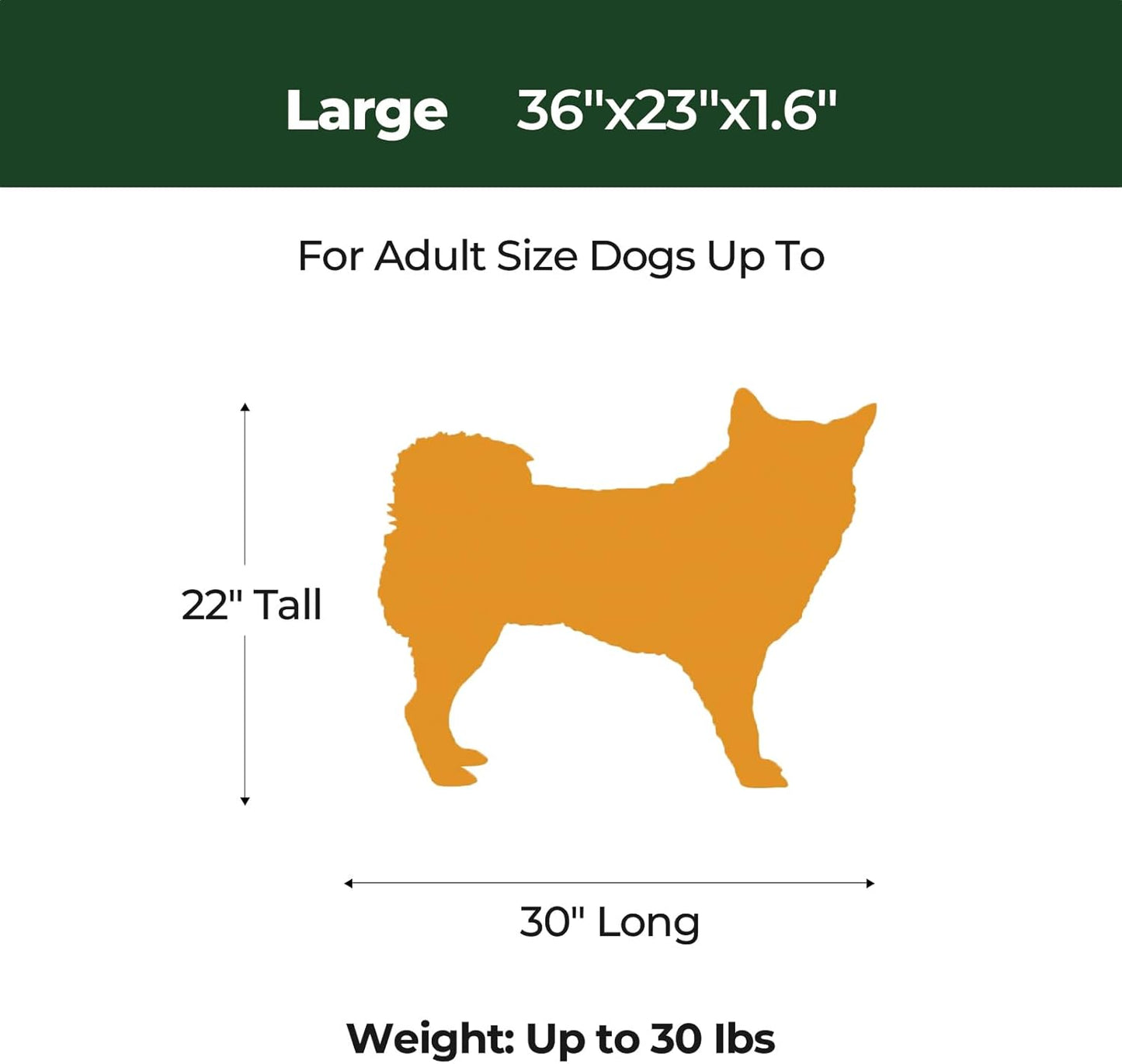 BALANCE Dog Crate Bed, Orthopedic Dog Bed Pad with Waterproof Liner, Washable Crate Foam Pet Mat for Large, Medium, Puppy Dogs Breeds, Mint Leaf, 36“x23”x1.6“