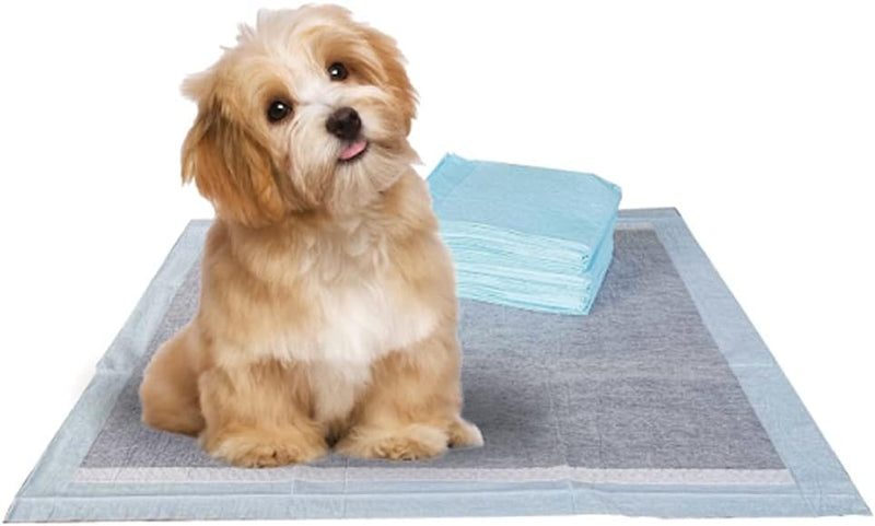 BV Charcoal Puppy Pads 100 Count 22"x22" - Leak-Proof Pee Pads for Dogs with 6-Layer Absorbent Design & Built-in Attractant - Dog Pad with Charcoal for Odor Control, Perfect for Puppies & Senior Dogs