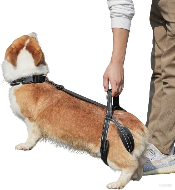 New Upgraded Dog Hind Leg Support Harness, Rear Leg Support Harness - Mobility Aid for Disabled & Paralyzed Pets, Rehabilitation Sling for Hind Leg Assistance Comfortable and Durable Design (Large)