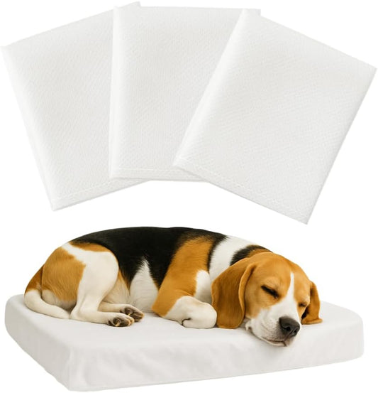 Tailbop Disposable Pet Bed Covers, Fits All Dog and Cat Beds or Mats, Waterproof, Odor and Dirt Resistant, 3 Pack (S-M)