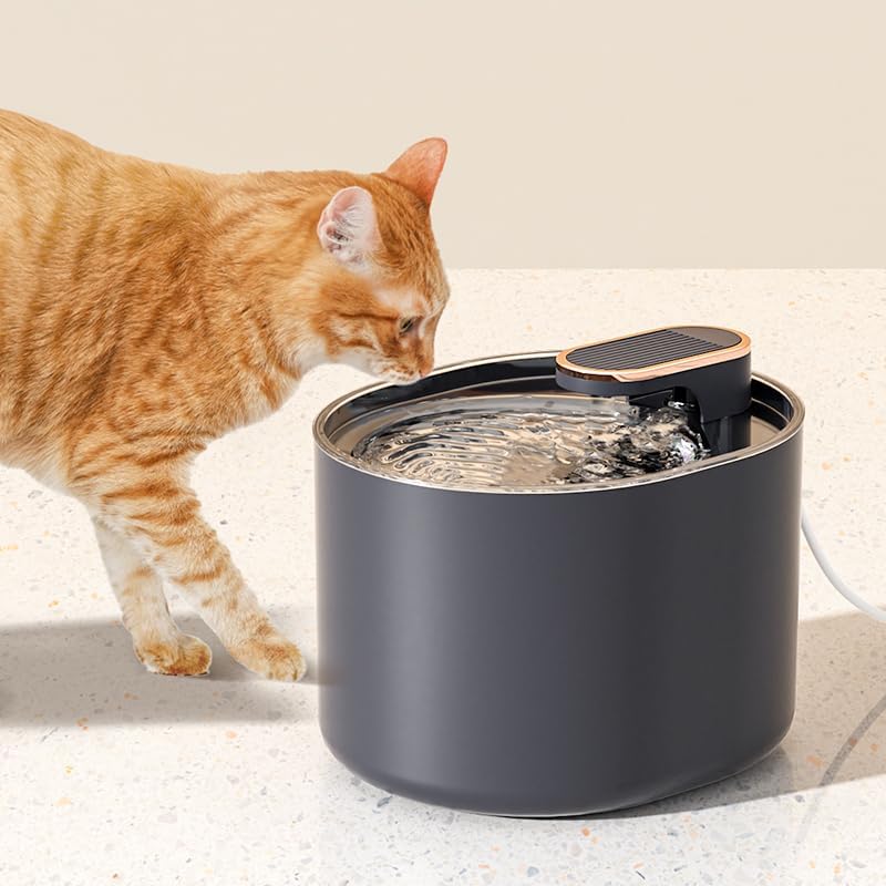 Auto Water Drinking Dispenser 3L Pet Water Fountain