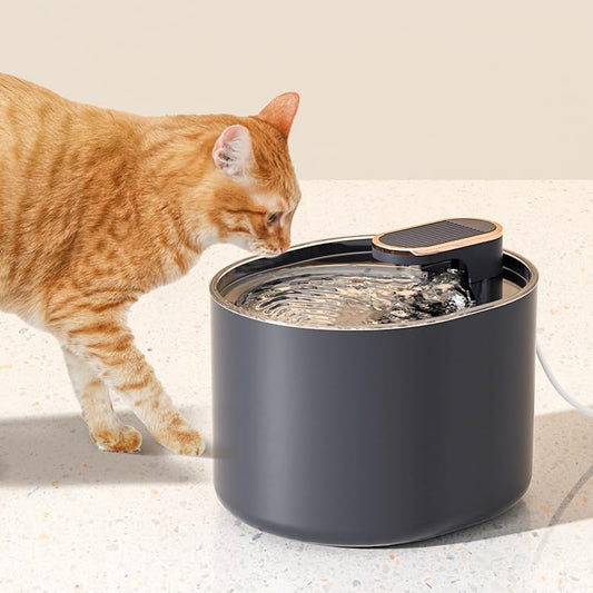 Auto Water Drinking Dispenser 3L Pet Water Fountain