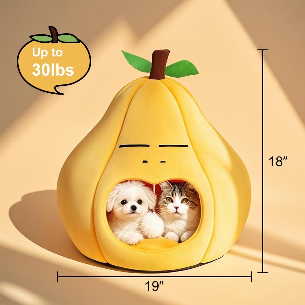 실내 고양이를 위한 귀여운 고양이 침대, 소형견 침대, 새끼 고양이와 강아지를 위한 부드럽고 세탁 가능한 반려동물 침대, 재미있는 배 고양이 동굴, 48.3cm(19인치)