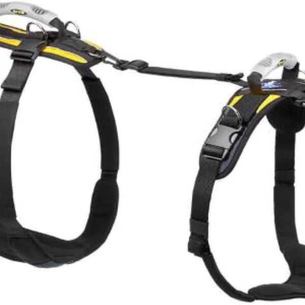 Help 'Em Up® - Dog Lift Harness│ Adjustable Lifting Harness for Dogs │ Full Body Support, Rear Leg Support (Conventional, XL)