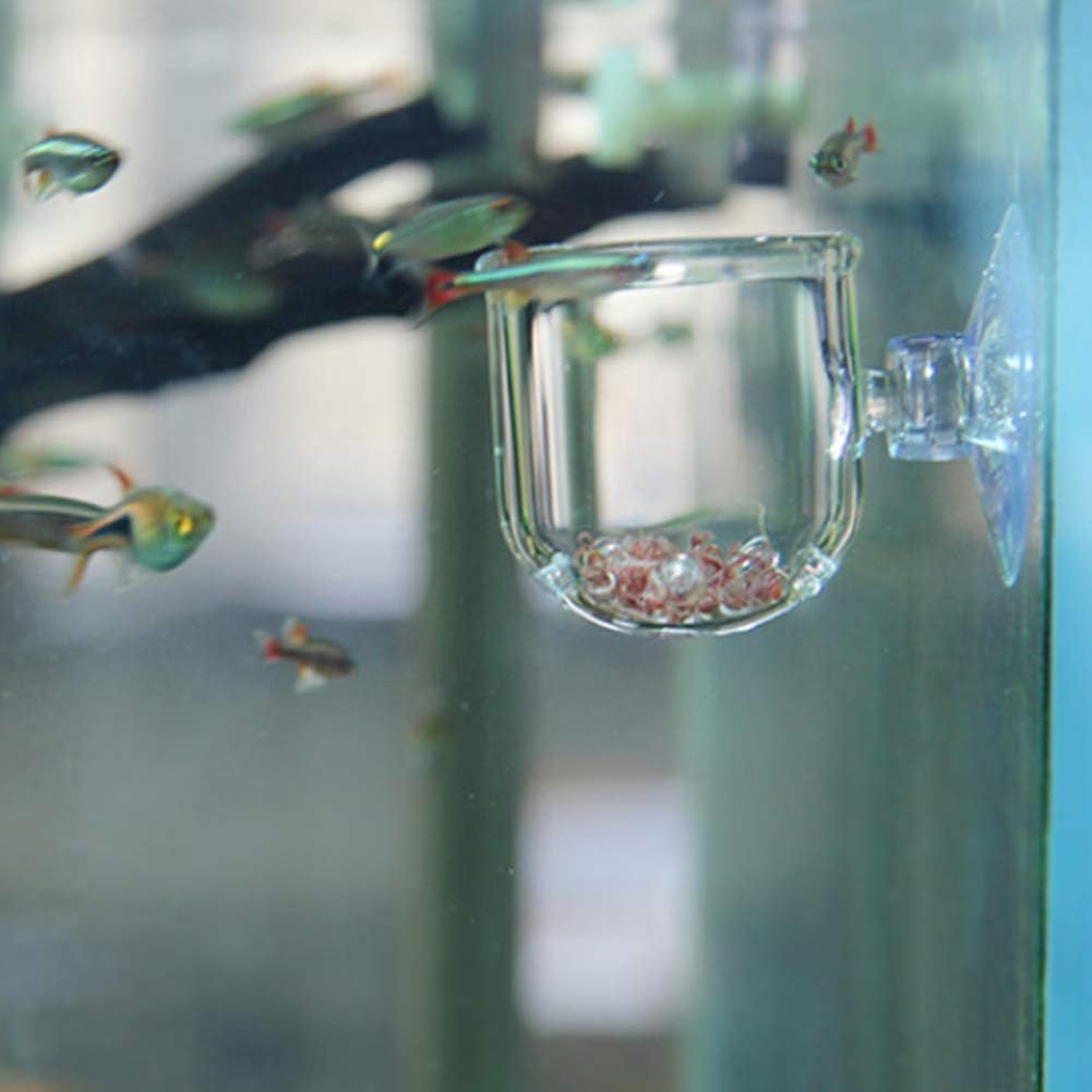 Fish Tank Feeding Cup, Aquarium Red Worm Food Container, Glass Feeder with Suction, Transparent Bowl for Feeding Shrimp Fish Reptiles (Glass Hole Cup)