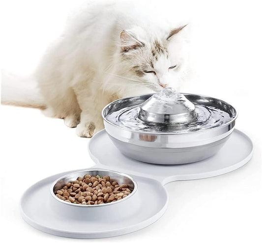 Fountain Stainless Steel Water Fountain Dog Bowl 2in1 Set, 2L/67oz Pet Water Fountain 248ml Food Bowl,Feeding Watering Supplies with 3 Filters Mat for Cats Dogs Pet Water Dispenser