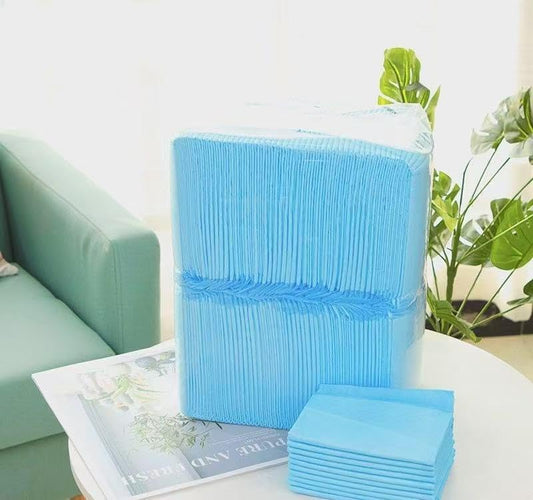 Super Absorbent Puppy Pee Pads | 40 Pads (23x23 Inch) | Quick-Dry Lock for Training, Indoor & Overnight Use | Leak-Proof Pet Pads for Small to Large Dogs