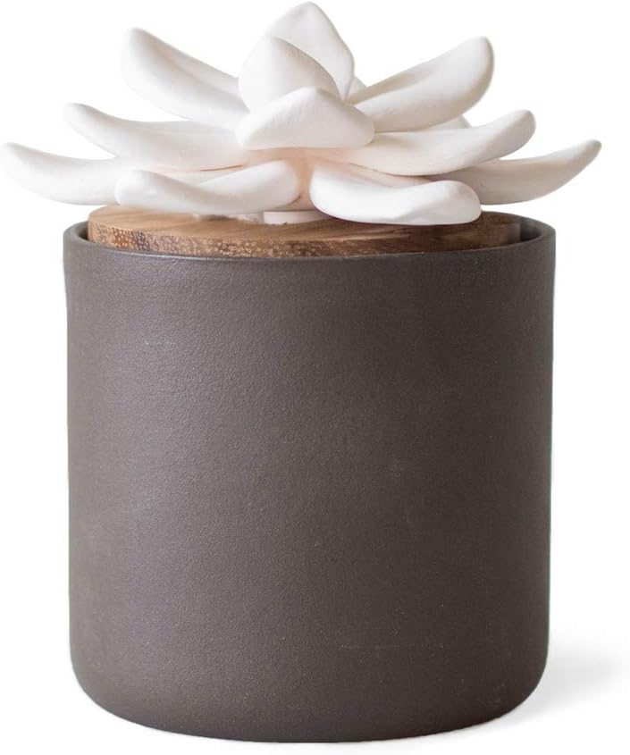 Edens Garden Charcoal Ceramic Bloom Diffuser Handmade Wick Essential Oil Aromatherapy, Passive Wicking Flower Diffuser for Home & Office No Power Needed, Elegant Scent Decor