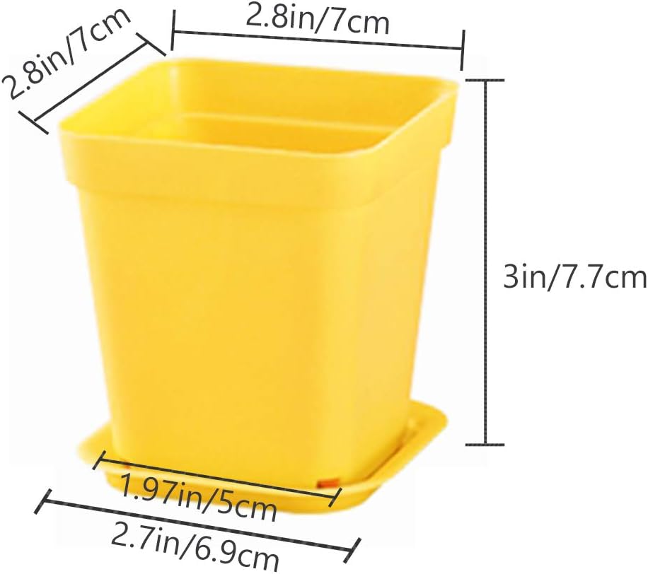 Haawooky 24 Pack Colorful Flower Pots Square Plastic Plant Pots Succulent Planter Nursery Pots with Saucers for Your Room,Garden Office and Balcony Decor