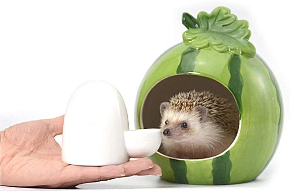 Dahey Drinking Water Feeder Ceramics Slient Bottle Waterer Automatic Small Pets for Hamster Hedgehog Chinchilla Ferret Small Guinea Pig, White, 8Oz