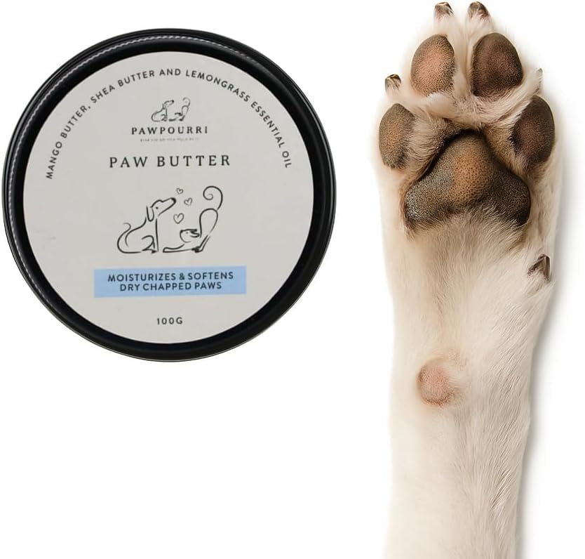 Paw Butter for Softening and moisturizing Dry and chapped Paws of Dogs and Cats | Enriched with a Blend of Mango Butter, shea Butter, and Lemongrass - 100g