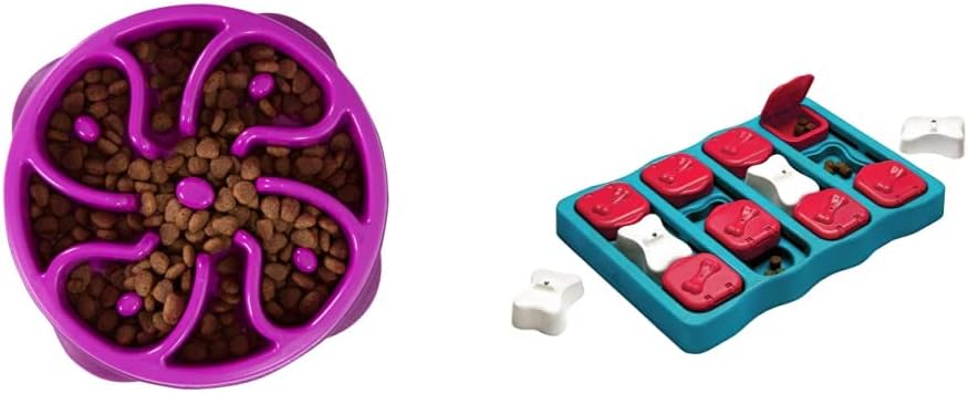 Outward Hound Fun Feeder Slo Bowl (Medium/Mini, Purple) and Outward Hound Nina Ottosson Dog Brick Interactive Treat Puzzle Dog Toy