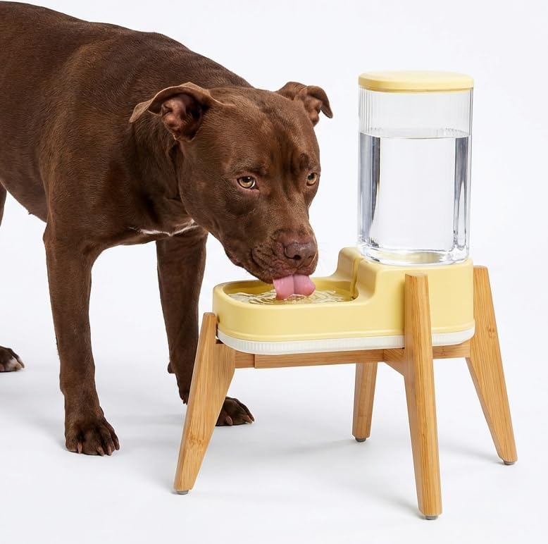 Dog Automatic Water Dispenser with Stand - Ideal for Medium-Large Breeds - Elevated Gravity Water Feeder Bowl, with Custom-Fit Raised Wooden Holder, All Parts Removable - ZPirates Brand USA
