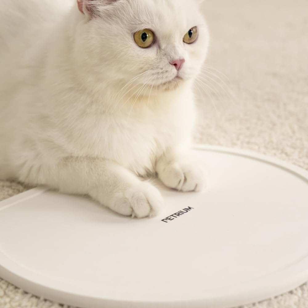 Stone Dry Mat for Pets, Absorbent Pet Feeding Mat for Food, Water Bowls Quick Drying Mat for Pet Cat Water Fountains Natural Diatomaceous Earth Non-Slip Dog Cat Accessories for Messy Drinkers