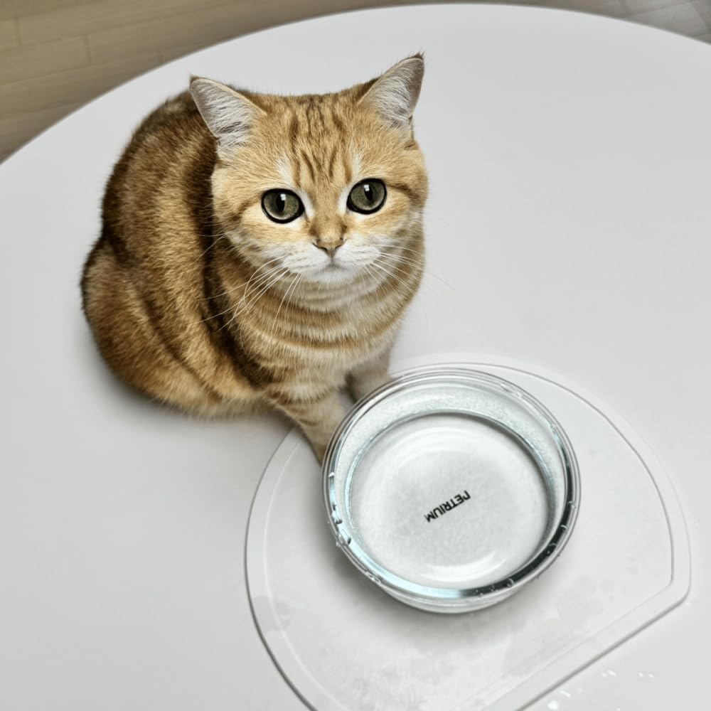 Stone Dry Mat for Pets, Absorbent Pet Feeding Mat for Food, Water Bowls Quick Drying Mat for Pet Cat Water Fountains Natural Diatomaceous Earth Non-Slip Dog Cat Accessories for Messy Drinkers