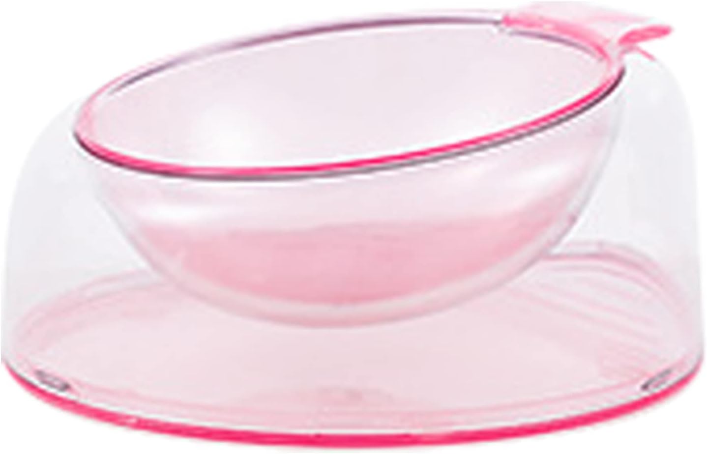 Pet Dishes Bowls with Stand for Kitten Small Dogs Food & Water Bowl 3 Tilted Elevated Bowl Protect Pet