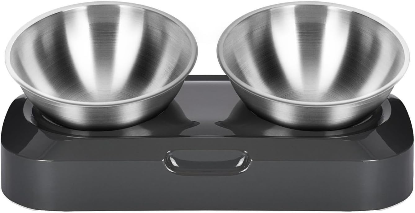 Stainless Steel Double Pet Bowls with Stand, Food Grade Cat and Dog Feeding Bowls, Black Base
