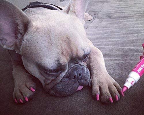 Warren London Pawdicure® Dog Nail Polish Pens – Core 3-Pack (Pink, Purple, Red) | Quick-Dry, Low-Odor & Non-Toxic | Precision Pen Tip | Made in USA | Save 11% vs. Singles