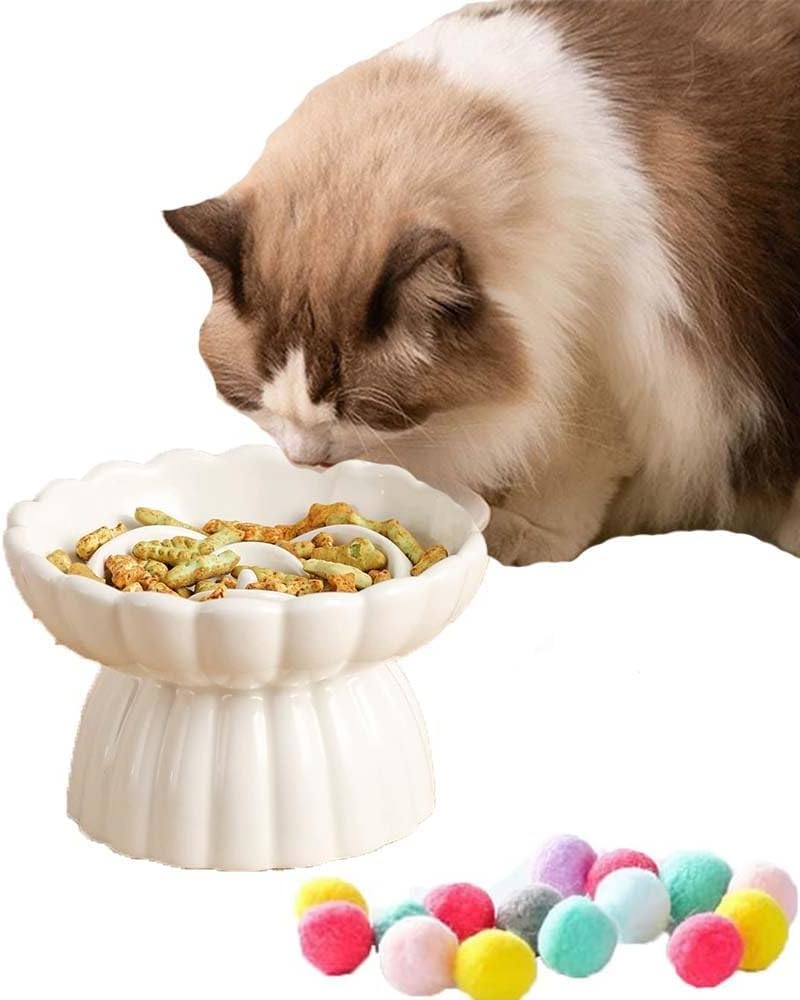 Ceramic Raised Cat Slow Feeder Bowls Whisker Friendly Anti Vomiting Cat Slow Eating Food Bowl for Cats Puppy Dogs Neck Support Plates (White)