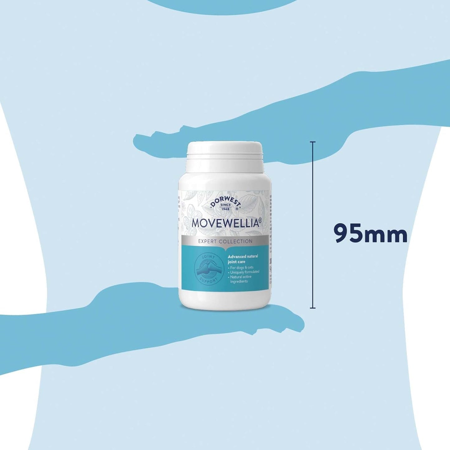 Dorwest MoveWellia 100 Tablets