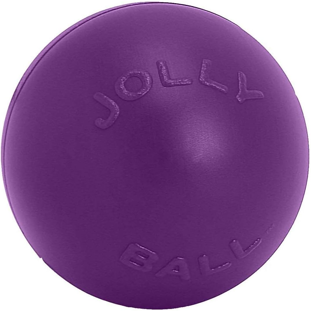 Jolly Pets Push-n-Play Ball Dog Toy, 10 Inches/Large, Red (310 RD)