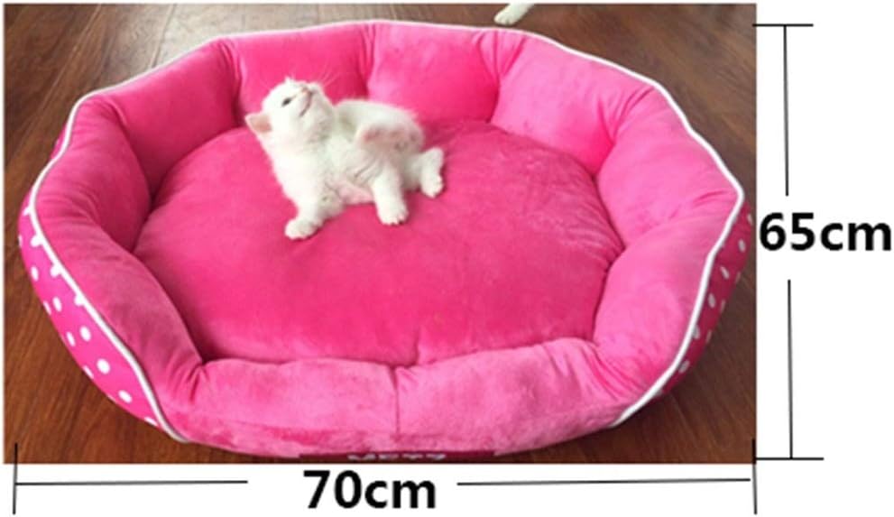 Forever Orthopedic Dog Bed Lounge Sofa Removable Cover Suede 4" Mattress Memory-Foam Premium Edition