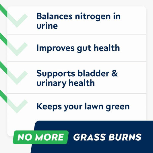 STRELLALAB Dog Pee Grass Chews - Urine Neutralizer for Green Grass Burn Spots - Grass Treatment for Pet Urine - Green Lawn Chews for Dogs with Probiotics - Made in USA (120Ct)
