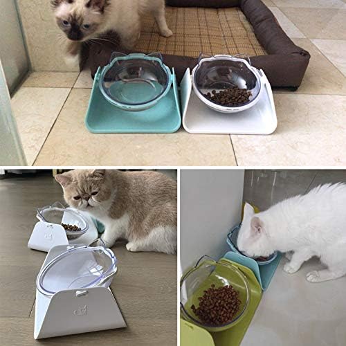 Adjustable Transparent Tilted Bowl Feeder with Raised Stand for Cat Pet(Green)