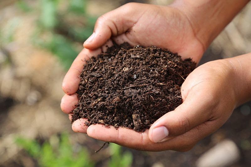 Park Seed Nature’s Aid Garden Soil Inoculant – Enhances Soil Fertility for Beans, Peas, & Vetch, Boosts Nitrogen Fixation for Bigger Vegetable Yields, Granular Formula Treats 150 Feet of Row, 8.7 oz
