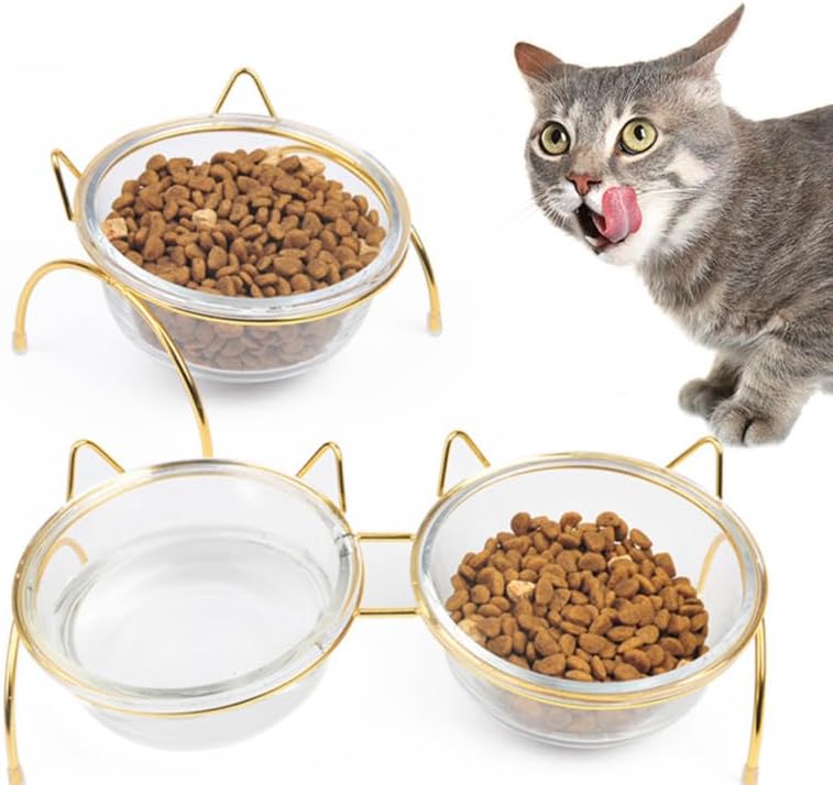 Elevated Glass Cat Food Bowl with Tilted Metal Stand, Single Raised Pet Dish for Neck Guard & Orthopedic Comfort, High Cat Feeder for Water or Food, Indoor Small Dog Bowl with Gold Rack