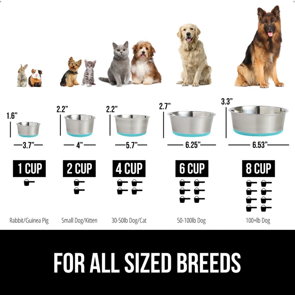 GORILLA GRIP Dog Bowl, Holds 2 Cups (16 fl oz), Food Grade 304 Stainless Steel Food and Water Bowl for Feeding Dogs and Cats, BPA Free Rubber Base, Easy Clean, Dishwasher Safe Rust Resistant Turquoise