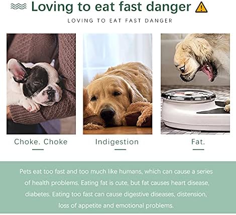 BUYTER Pet Catch Interactive Slow Jungle Feeder Bowl Anti-gulping Feed Diet Dishes (Green)
