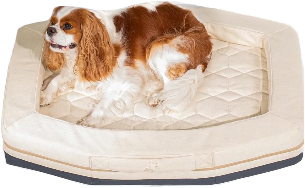 GUNNER Homestead Dog Bed – Orthopedic Memory Foam Pet Bed with Washable Cover, Durable Non-Slip Base, Bolstered Sides for Dogs, Comfortable Indoor Lounger, Oak, Small