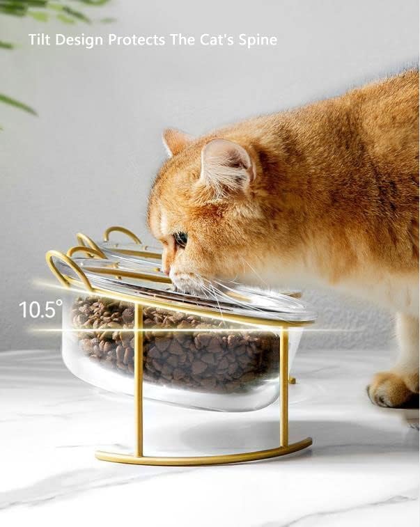 Cat Bowls Glass Raised Pet Bowl Cat Food and Water Bowls Set Tilted Elevated Cat Dog Bowl with Metal Stand Cat Dish Feeder for Puppy Cats and Small Dogs