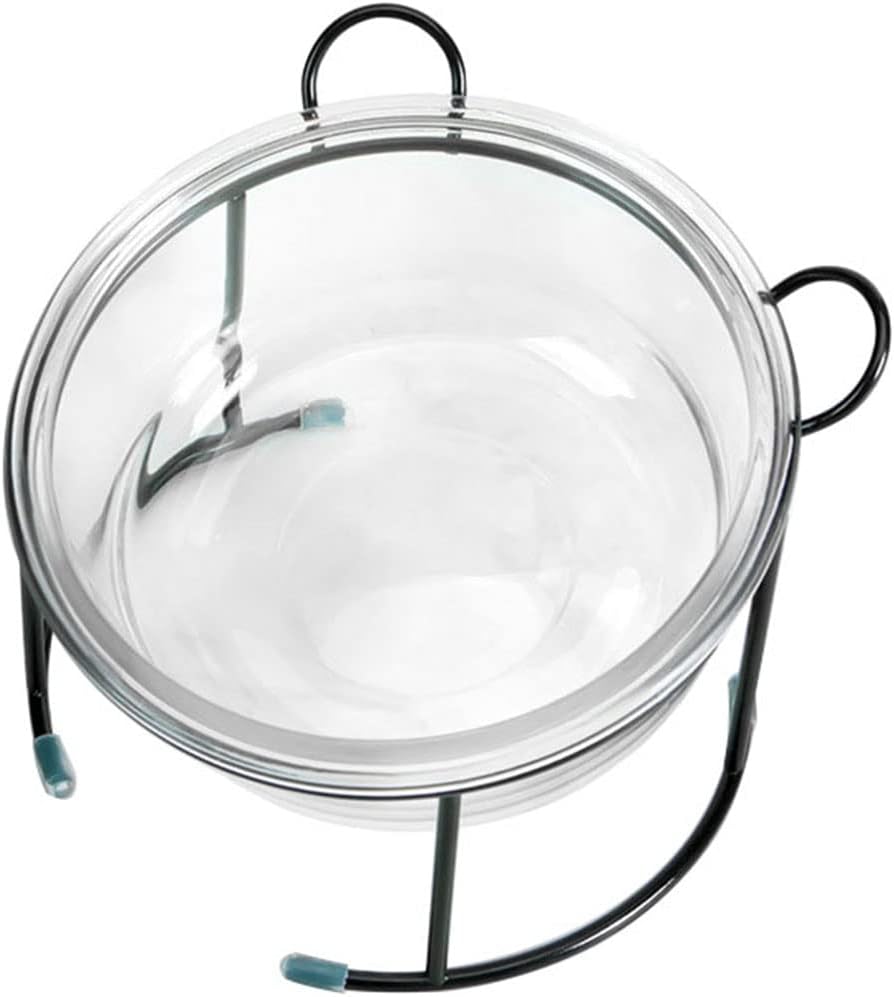 Cat Bowls Glass Raised Pet Bowl Cat Food and Water Bowls Set Tilted Elevated Cat Dog Bowl with Metal Stand Cat Dish Feeder for Puppy Cats and Small Dogs