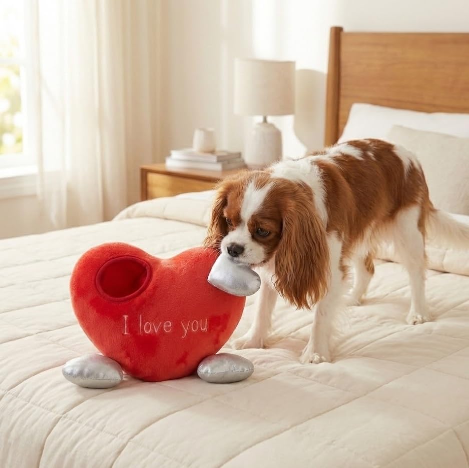 MODERN WAVE - Squeaky Plush Dog Toy - Interactive Hide and Seek Squirrel Type Puzzle Toy for Dogs, Small - Medium Size (Red Heart and Silver Hearts)