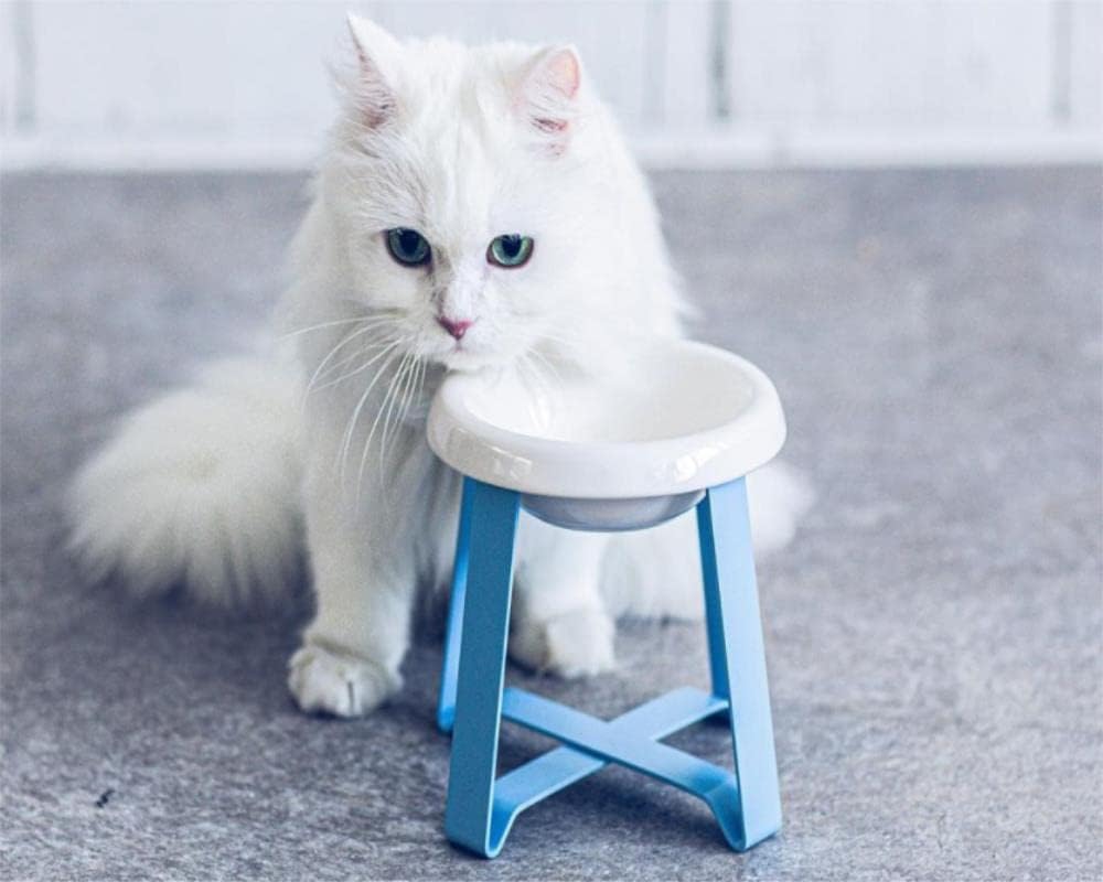 Ceramic Cat Bowl,Small Dog Bowl