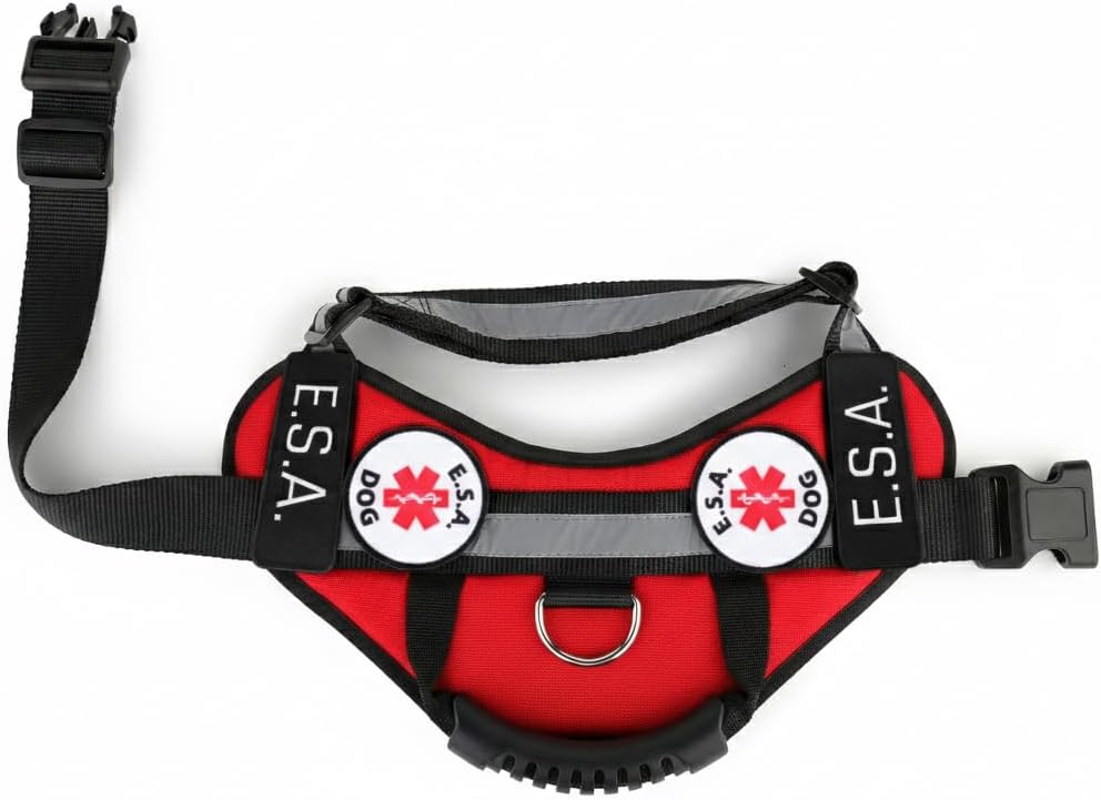 Service Dog Harness Vest with Handle - Removable Patches (ESA, Support Animal, Emotional Support Animal, Therapy Dog, Autism, PTSD) 10 ADA Cards | All Access Canine
