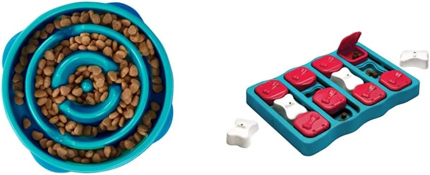 Outward Hound Fun Feeder Slo Bowl, Slow Feeder Dog Bowl, Medium/Mini, Turquoise & Outward Hound Dog Brick Interactive Treat Puzzle Dog Toy, Intermediate
