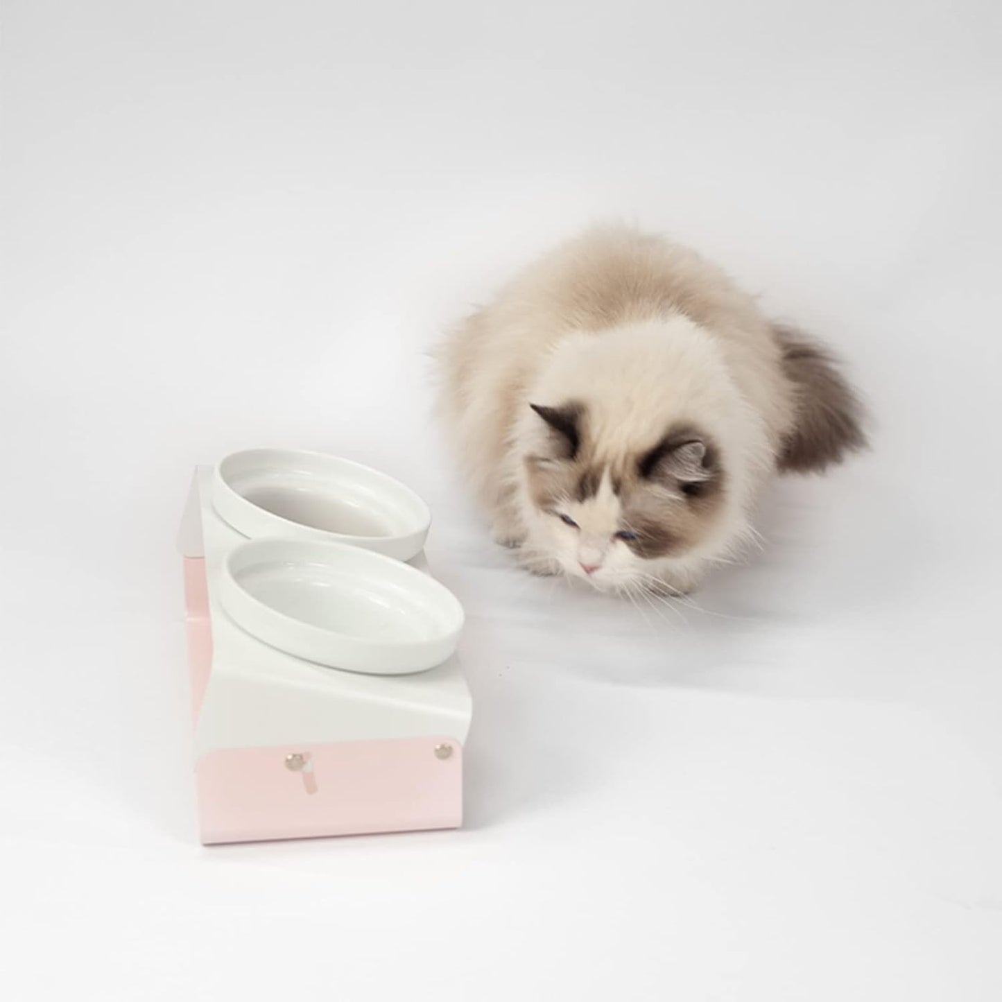 Elevated Cat Bowls Feeder - 16.9 oz Pet Food Water Ceramic Double Feeding Bowls with Non-Slip Tilted Raised Base for Kitten Puppy, Pink