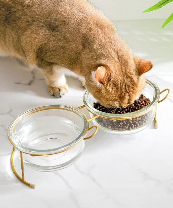 Cat Bowls Glass Raised Pet Bowl Cat Food and Water Bowls Set Tilted Elevated Cat Dog Bowl with Metal Stand Cat Dish Feeder for Puppy Cats and Small Dogs